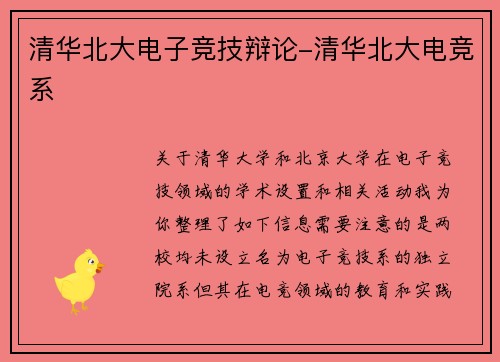 清华北大电子竞技辩论-清华北大电竞系