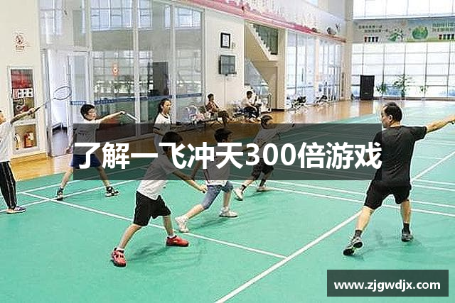 了解一飞冲天300倍游戏